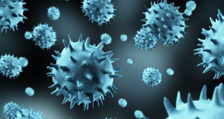 Epidemic Prevention Guide - Suerbeaty