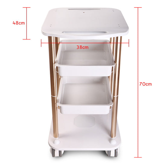 Load image into Gallery viewer, Beauty Salon Trolley Stand Spa Styling Rolling Cart Two Shelf ABS Aluminum - Suerbeaty
